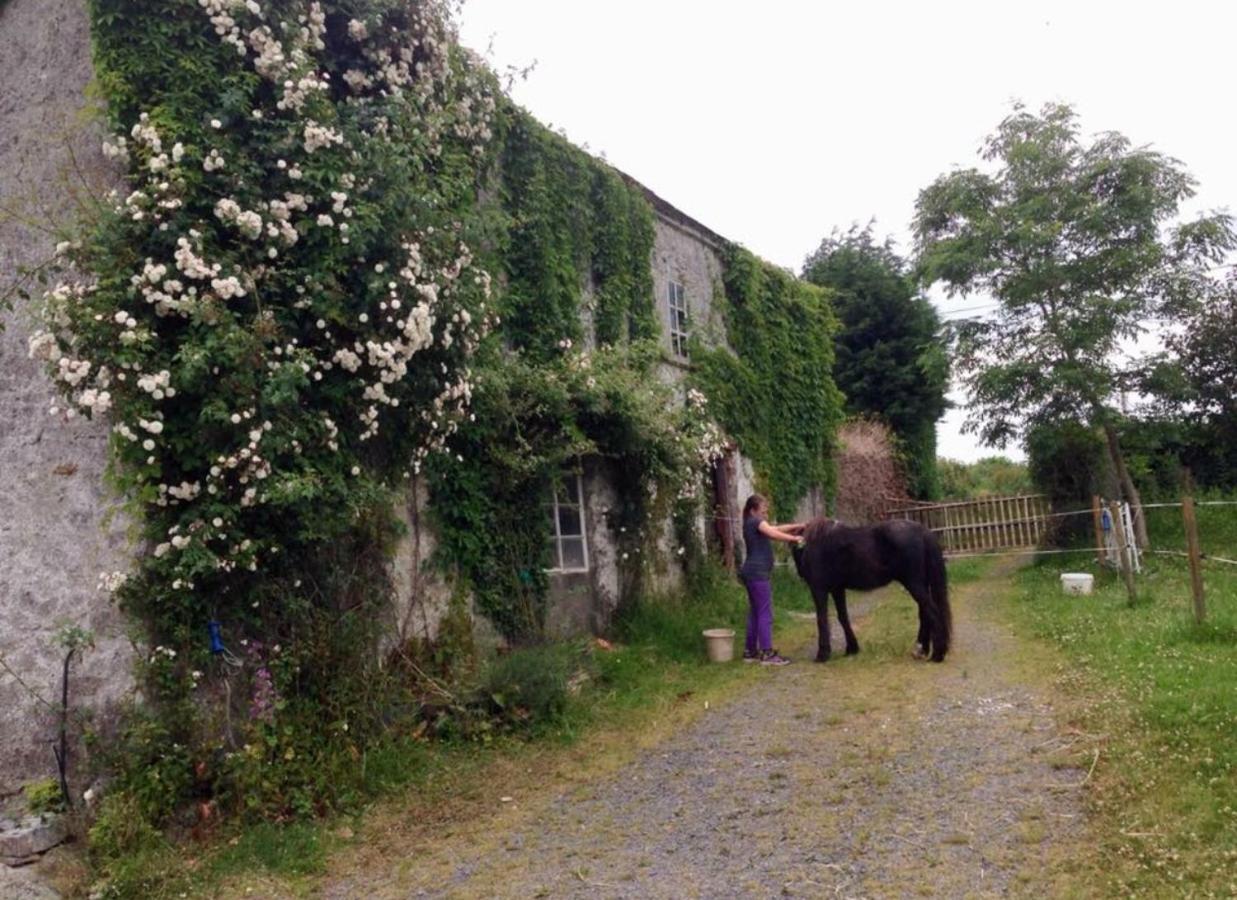 Ballyrider House Hotel Inch Cross Buitenkant foto